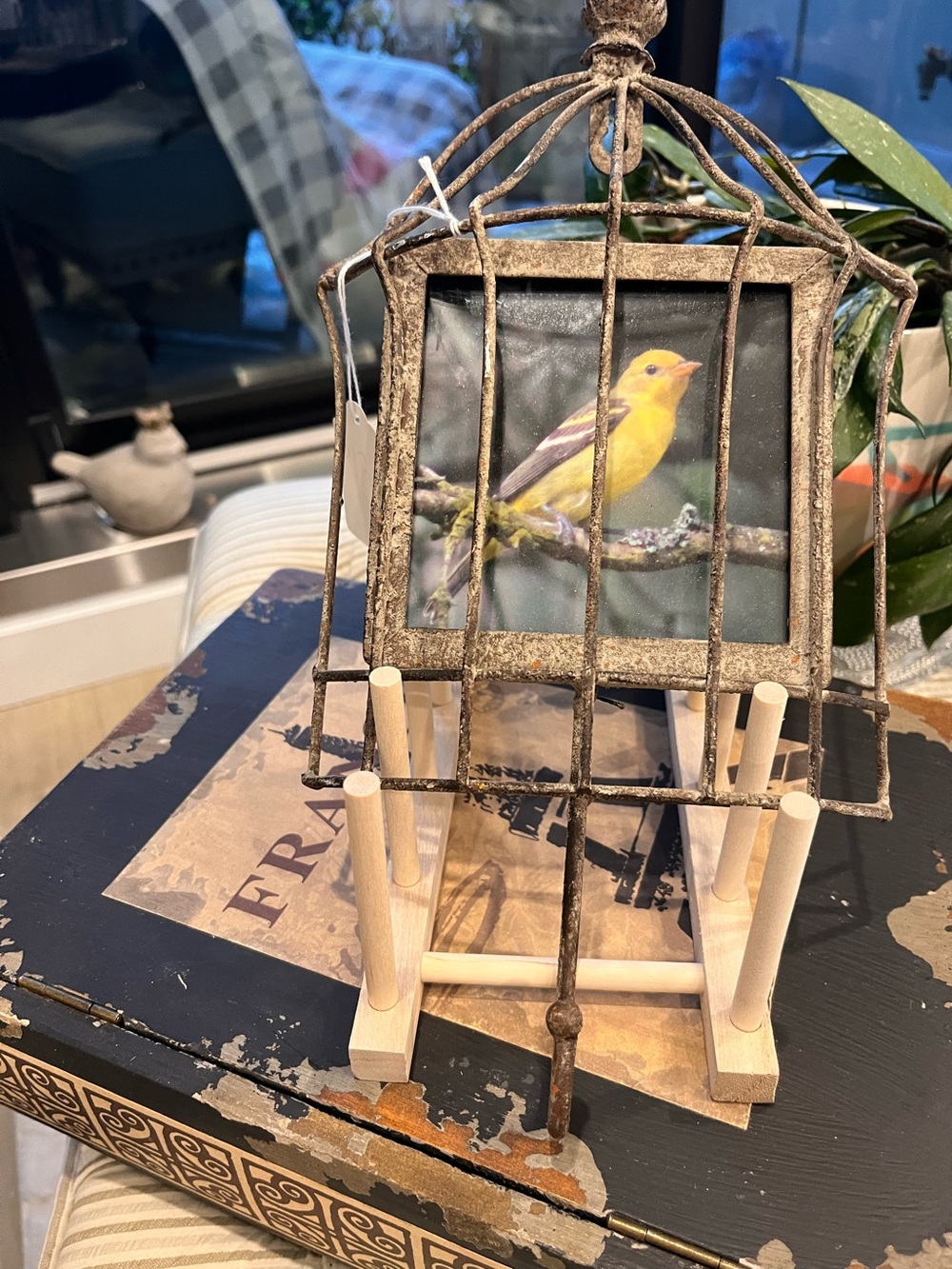 Vintage coat hook Yellow Bird Photo Frame in Rustic Metal Cage